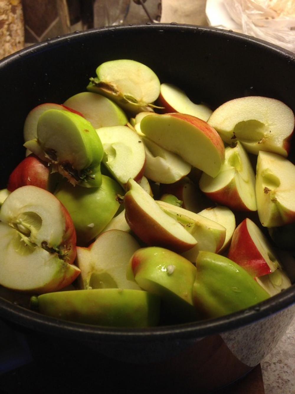 Apple Bits Fruit Eplegele Apple Bits Fruit Eplegele