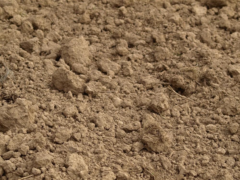 Arable Agriculture Earth Clay Arable Agriculture Earth Clay