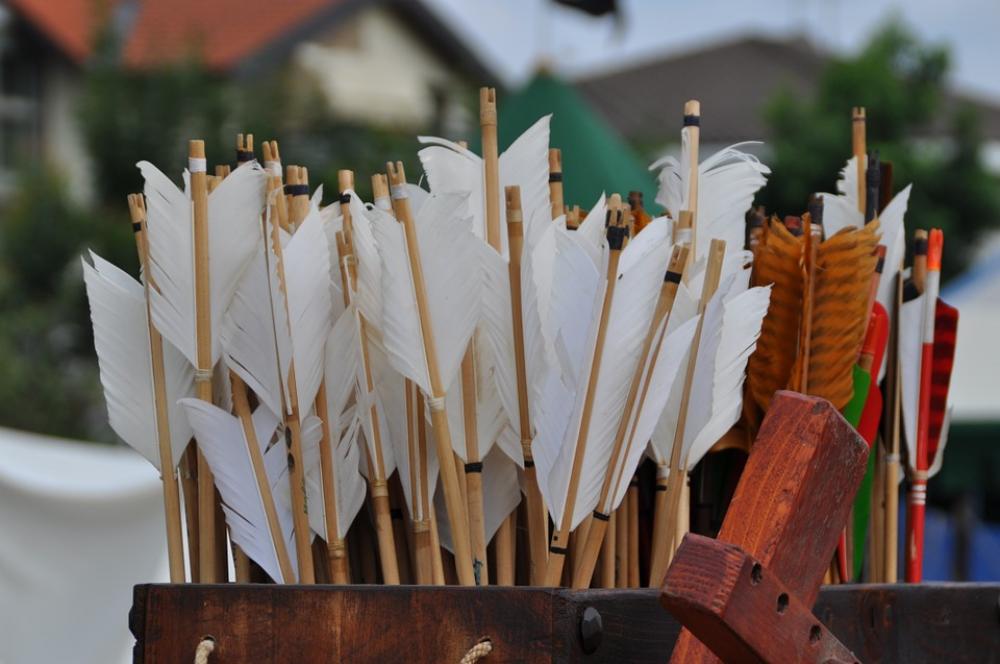 Arrows Dart Sacca Arrows Dart Sacca