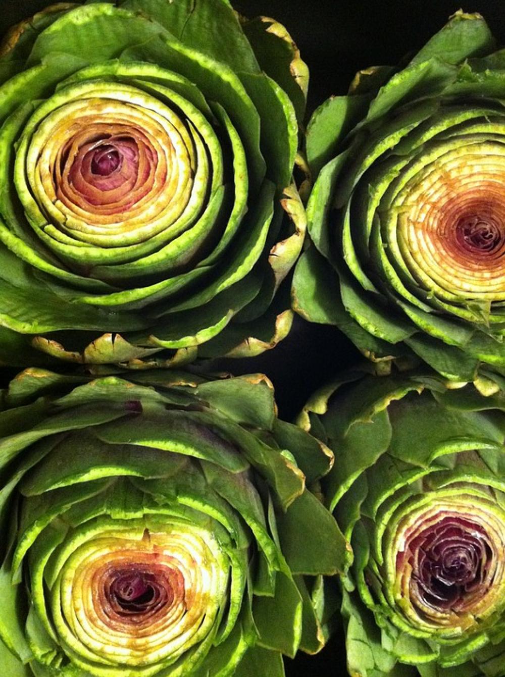 Artichoke Food Plant Veggies Artichoke Flower Artichoke Food Plant Veggies Artichoke Flower
