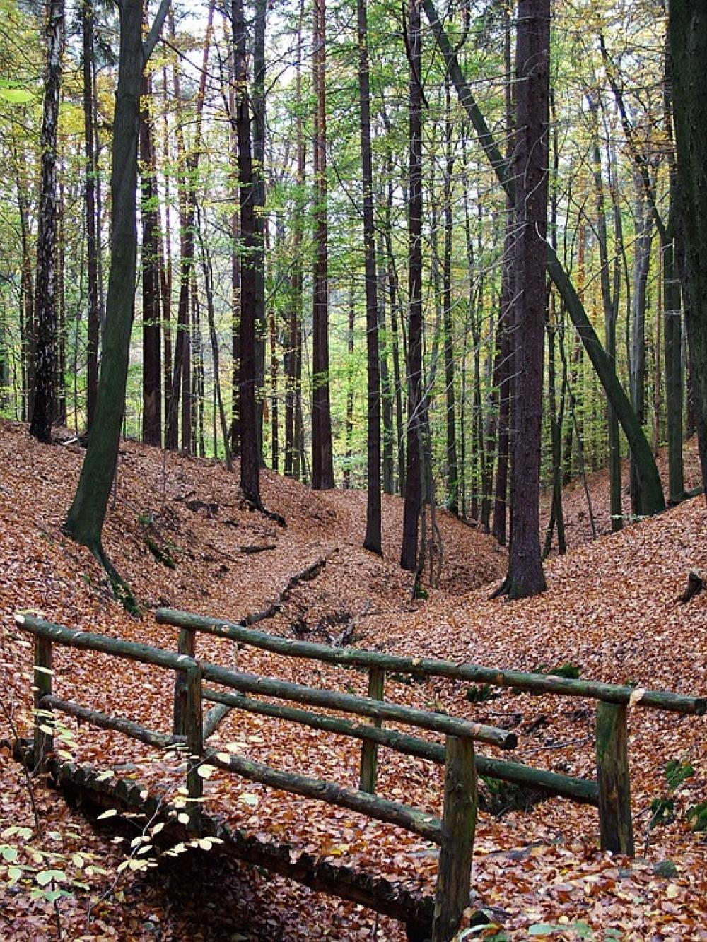 Autumn Forest Bridge Autumn Forest Bridge