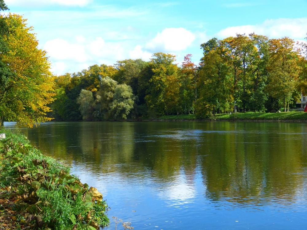 Autumn Mood Danube Autumn Light Sun Golden Autumn Mood Danube Autumn Light Sun Golden