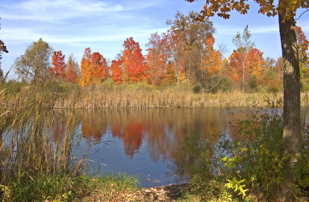 Autumn Pond Landscape Fall Trees Nature Autumn Pond Landscape Fall Trees Nature