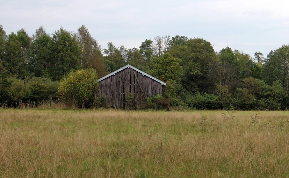 Autumn Landscape Nature Reported Trees Hut Scale Autumn Landscape Nature Reported Trees Hut Scale