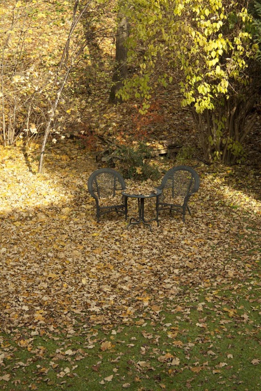 Autumn Garden Nature Leaves November In The Free Autumn Garden Nature Leaves November In The Free