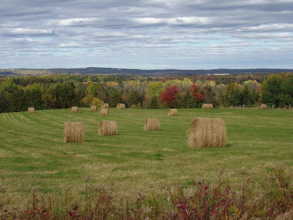 Autumn Fall Maine Field Aroostook Houlton Autumn Fall Maine Field Aroostook Houlton
