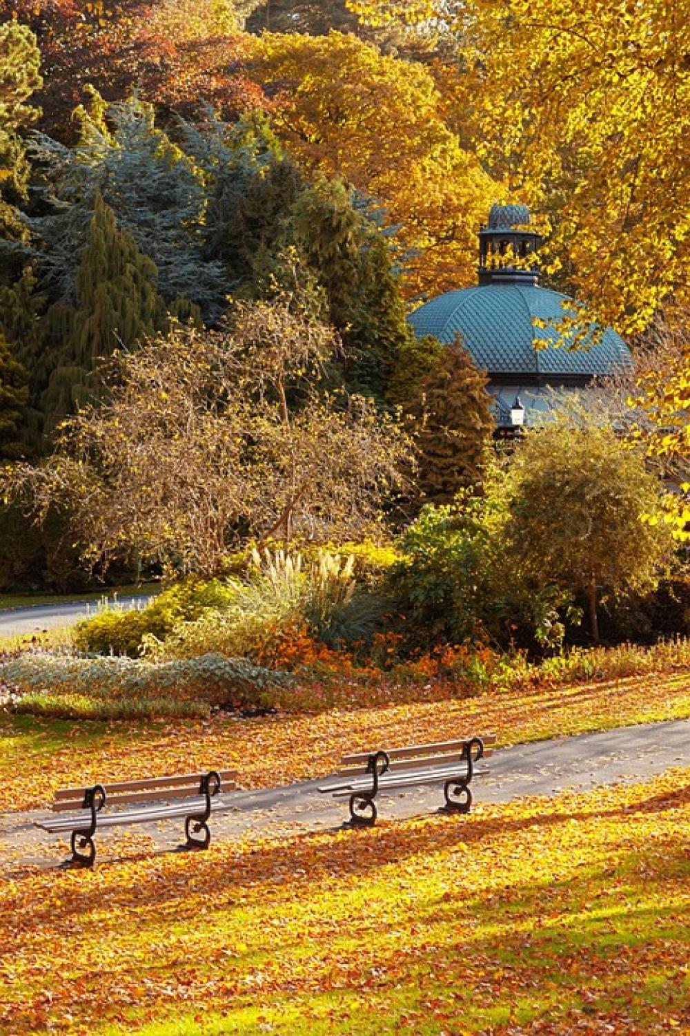 Autumn Fall Foliage Bench Landscape Leaf Leaves Autumn Fall Foliage Bench Landscape Leaf Leaves