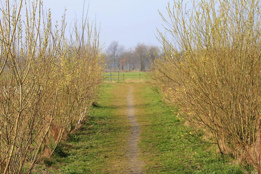 Away Grass Nature Trail Silent Rest Away Grass Nature Trail Silent Rest