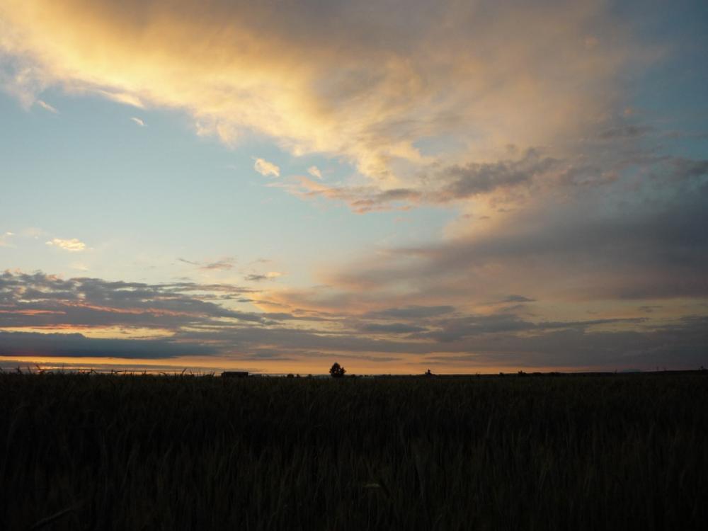 Badajoz Field Sky Clouds Nature Sunset Horizon Badajoz Field Sky Clouds Nature Sunset Horizon
