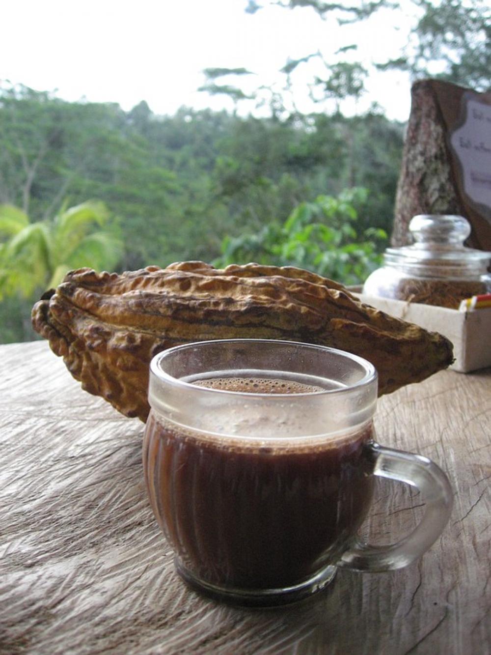 Bali Coffee Cacao Bali Coffee Cacao