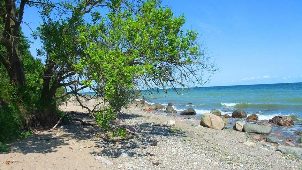 Baltic Sea Beach Coast Sea Baltic Sea Beach Coast Sea
