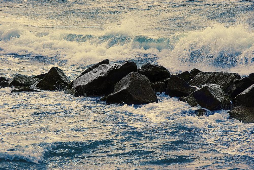 Baltic Sea Beach Surf Sea Water Wave Darß Baltic Sea Beach Surf Sea Water Wave Darß
