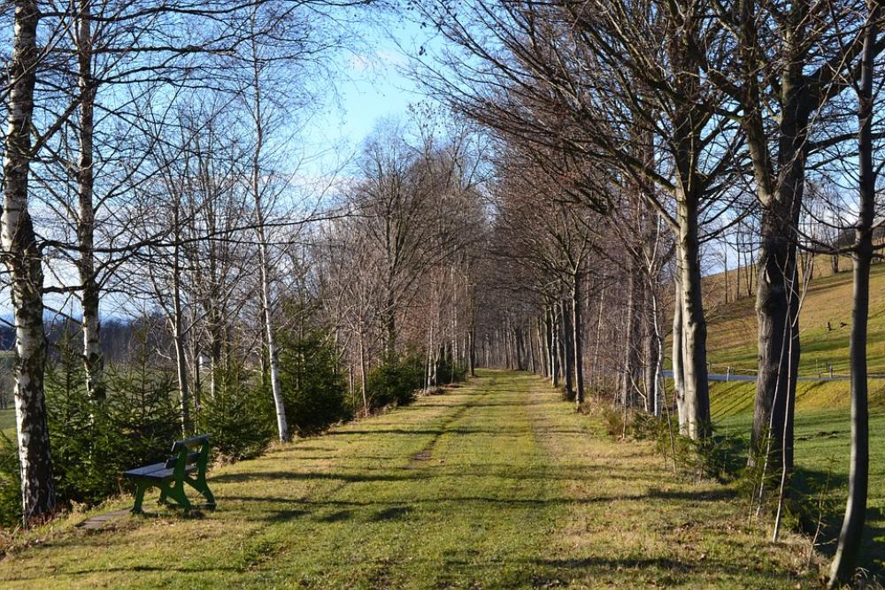 Bank Away Trees Sky Blue Green Landscape Bank Away Trees Sky Blue Green Landscape