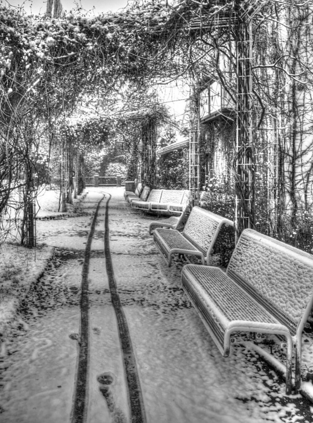 Bank Snow Winter Traces Bank Snow Winter Traces