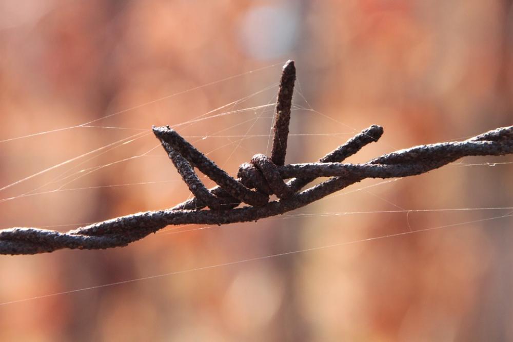 Barbed Close-Up Iron Old Rusty Wire Industries Barbed Close-Up Iron Old Rusty Wire Industries