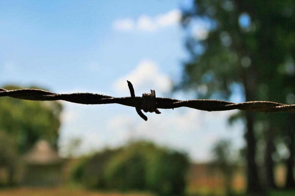 Barbed Wire Wire Barb Twisted Barbed Sharp Barbed Wire Wire Barb Twisted Barbed Sharp