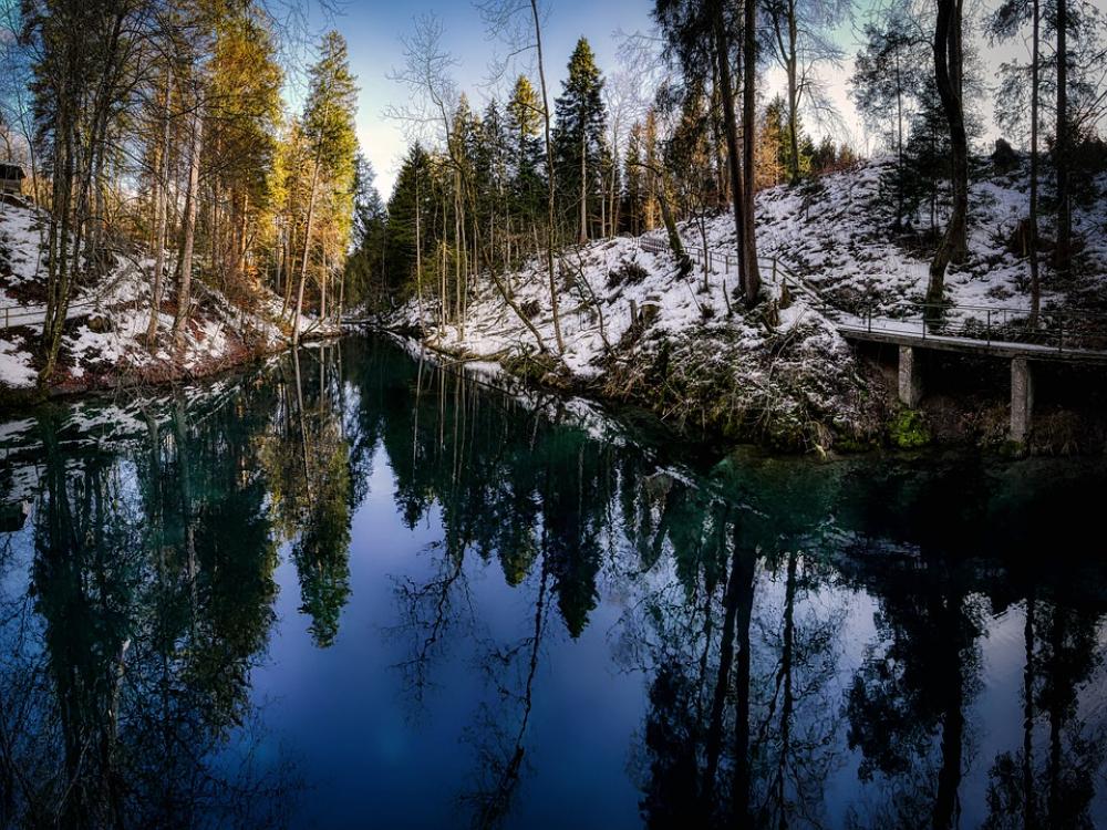 Barrage Lake Forest Mirroring Snow Cold Barrage Lake Forest Mirroring Snow Cold