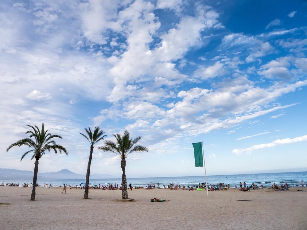 Beach Palms Sand Holiday Twilight Sky Exotic Beach Palms Sand Holiday Twilight Sky Exotic