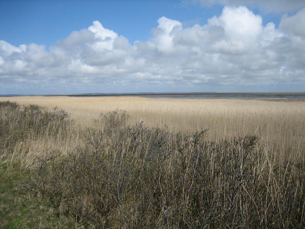 Beach Sea Dunes Sky Clouds North Sea Beach Sea Dunes Sky Clouds North Sea