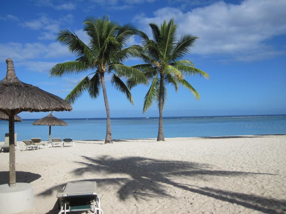 Beach Palms Trees Sea Water Sand Holiday Beach Palms Trees Sea Water Sand Holiday