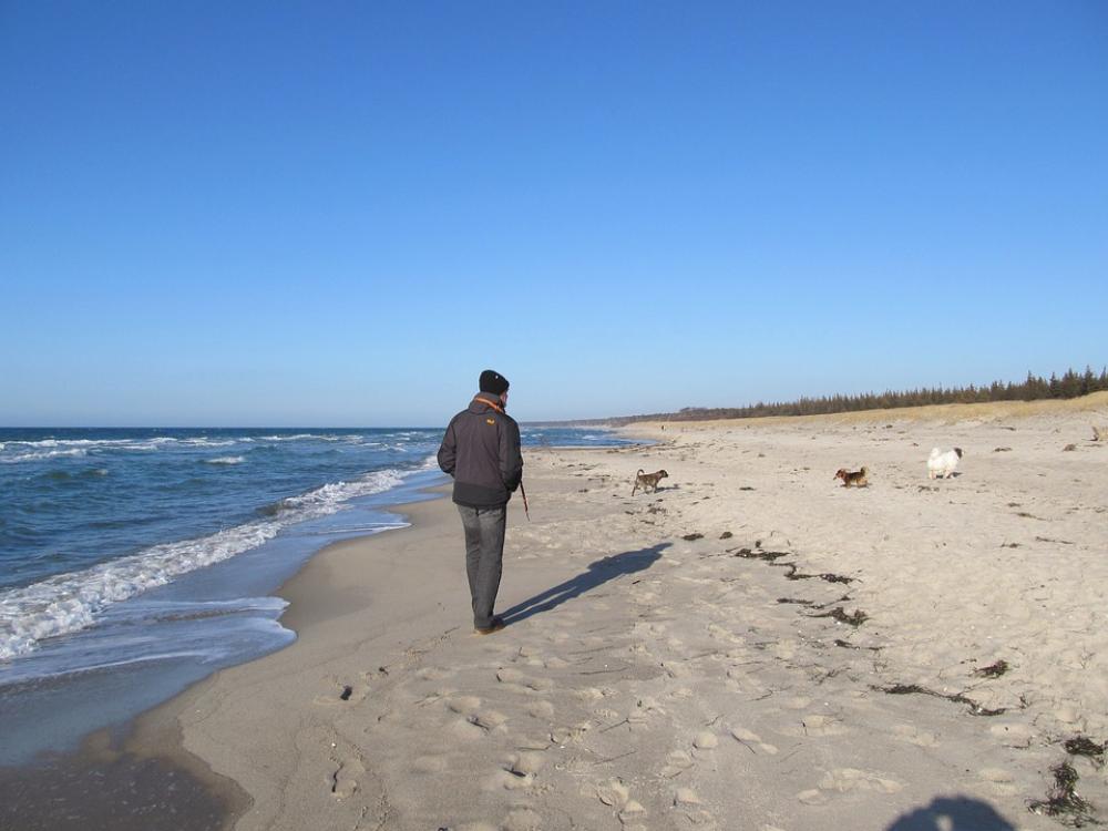 Beach Relaxation Wide Sand Beach Nature Relax Beach Relaxation Wide Sand Beach Nature Relax