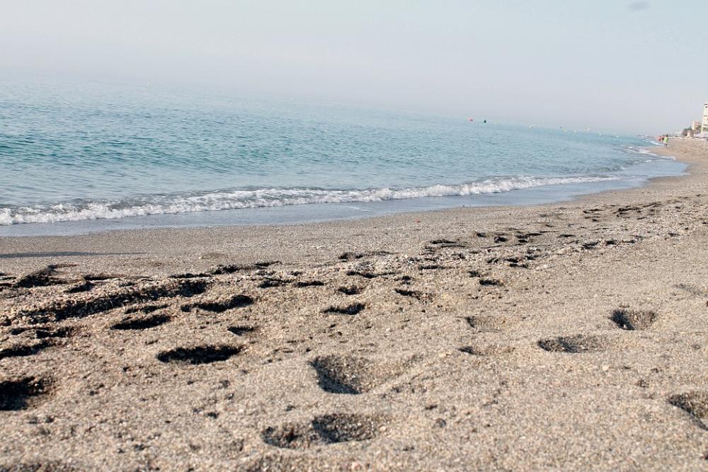 Beach Sand Sandy Sea Ocean Vacation Holiday Beach Sand Sandy Sea Ocean Vacation Holiday
