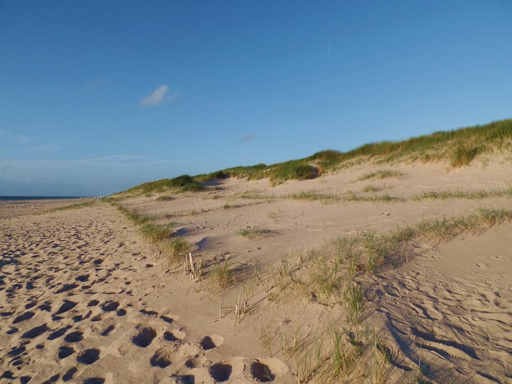 Beach North Sea Sylt Coast Vacations Sea Beach North Sea Sylt Coast Vacations Sea