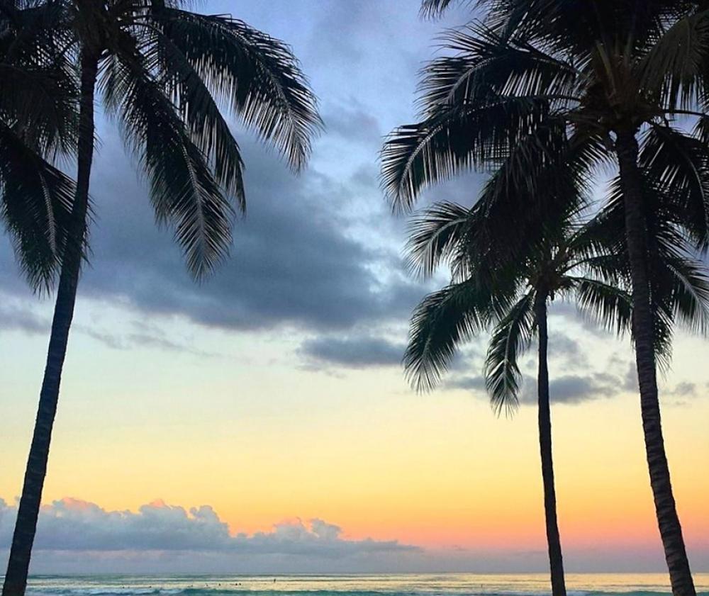 Beach Palm Sunrise Water Tropical Paradise Clouds Beach Palm Sunrise Water Tropical Paradise Clouds