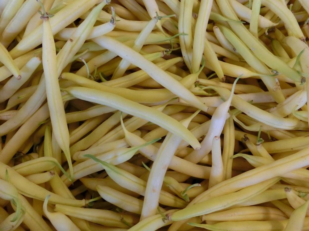 Beans Vegetables Market Beans Vegetables Market