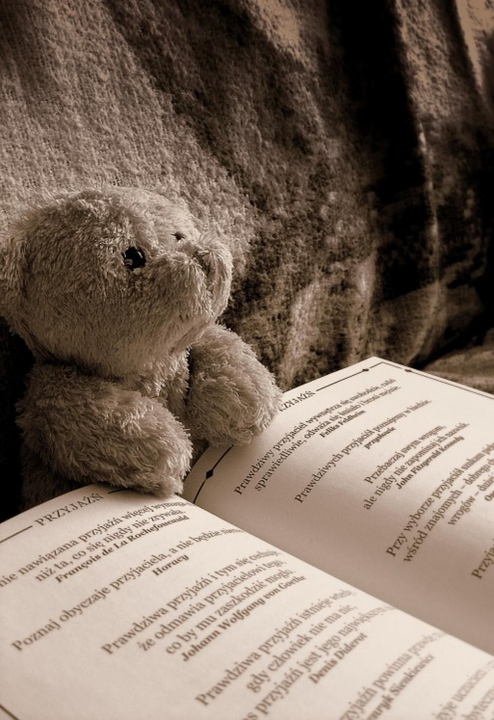 Bear Reading Toy Cute Animal Sweet Bear Reading Toy Cute Animal Sweet