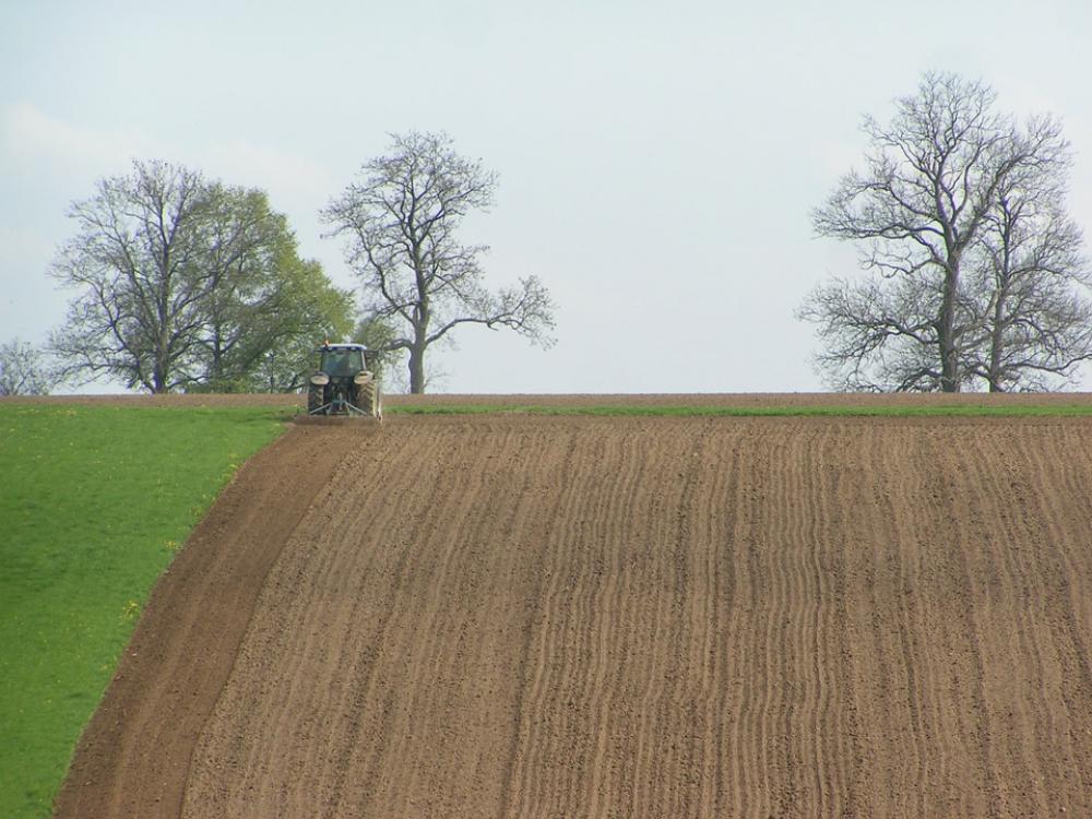 Belgium Field Furrow Belgium Field Furrow