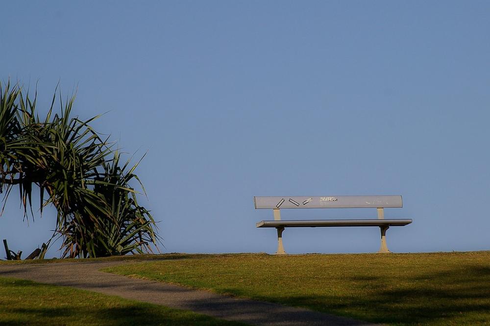 Bench Seat Horizon Palm Tree Sky Blue Grass Bench Seat Horizon Palm Tree Sky Blue Grass