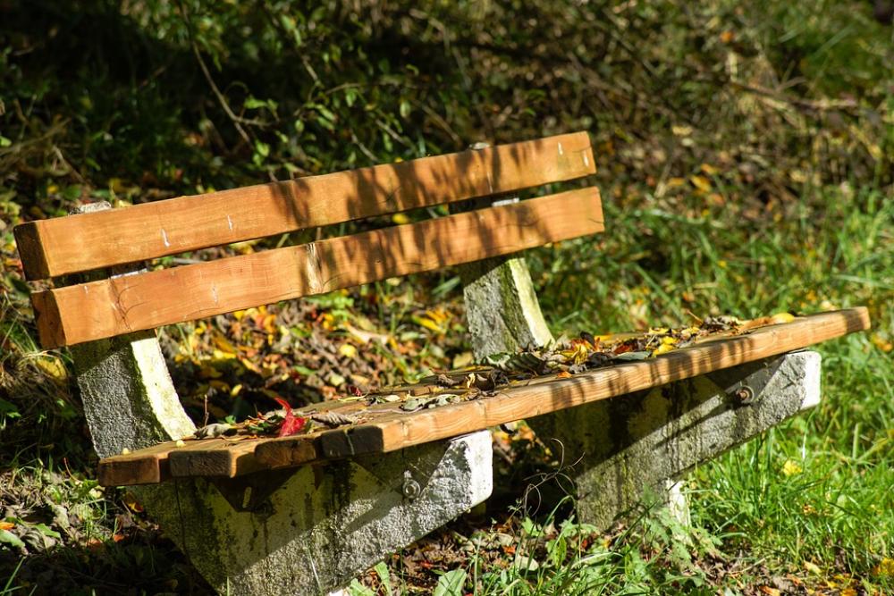 Bench Wood Rest Fall Autumn Leaf Leaves Wooden Bench Wood Rest Fall Autumn Leaf Leaves Wooden