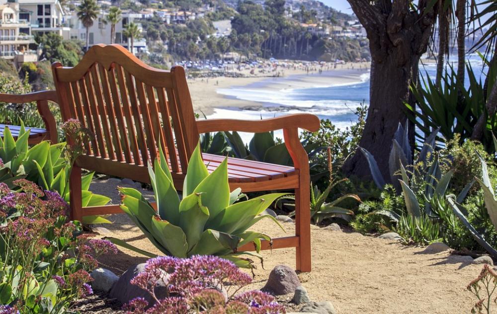 Bench Relax Sunny Beach Park Outdoors Leisure Bench Relax Sunny Beach Park Outdoors Leisure