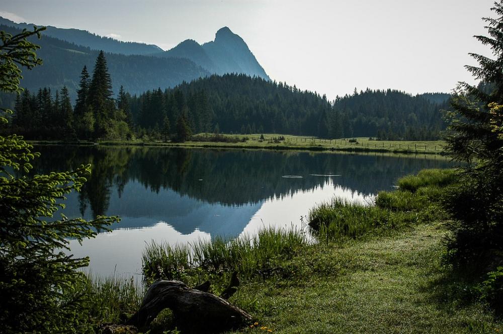 Bergsee Bog Lake Lake Clear Austria More Bergsee Bog Lake Lake Clear Austria More
