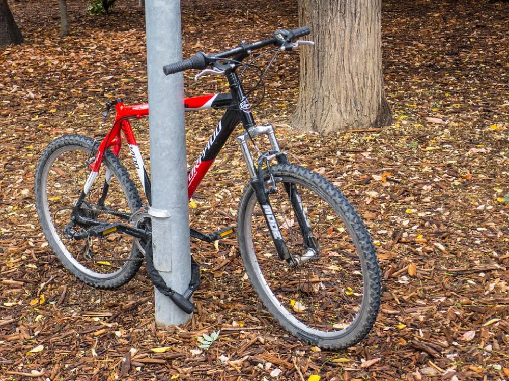 Bicycle Tree Bike Old Cyclist Padlock Autumn Bicycle Tree Bike Old Cyclist Padlock Autumn