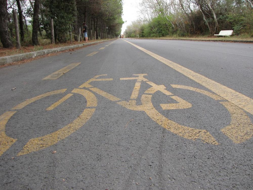 Bicycle Road Signals Template Form City Alley Bicycle Road Signals Template Form City Alley