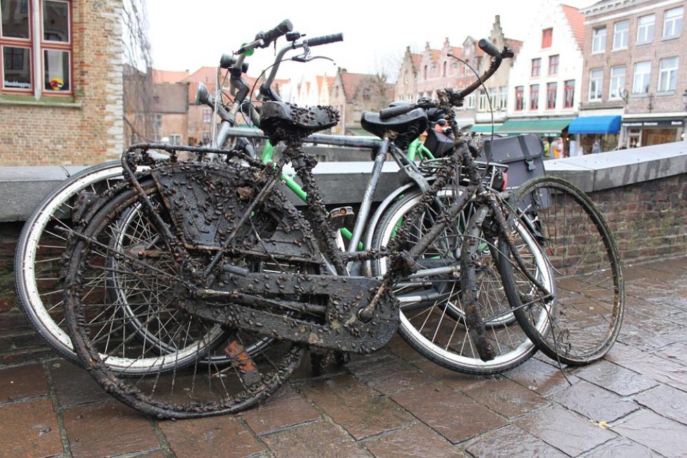 Bike Wrecks Mussels Bike Wrecks Mussels