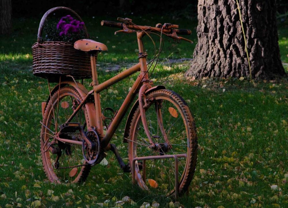 Bike Old Retro Retired Mature Bike Old Retro Retired Mature