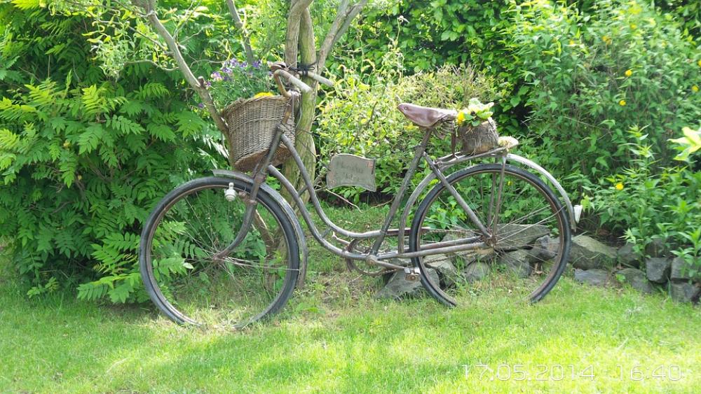 Bike Nature Rest Bike Nature Rest