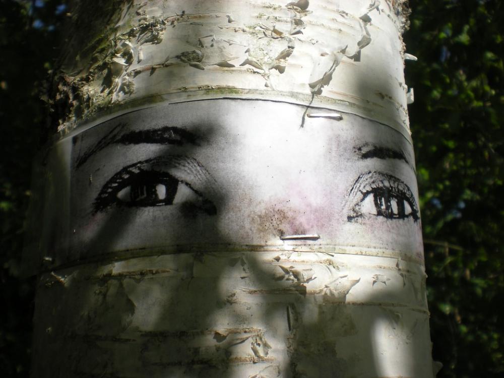 Birch Eyes Natural Art Tanto Södermalm Stockholm Birch Eyes Natural Art Tanto Södermalm Stockholm