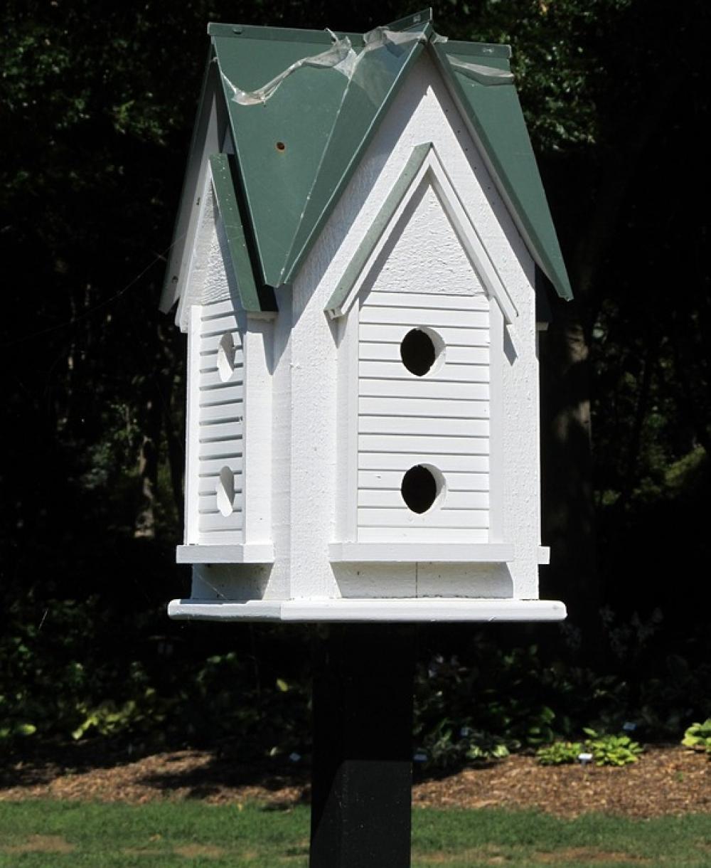 Birdhouse Birds House Nest White Birds Bird House Birdhouse Birds House Nest White Birds Bird House