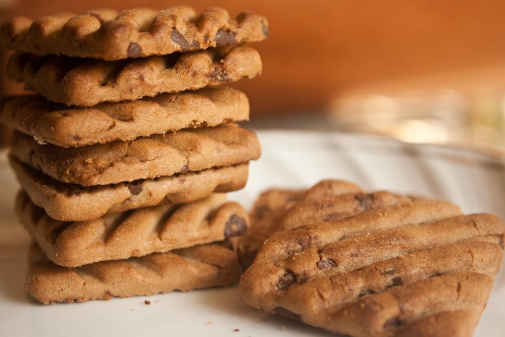 Biscuits Chocolate Chips Cookies Baked Food Biscuits Chocolate Chips Cookies Baked Food