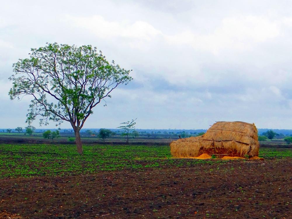 Black Cotton Soil Landscape Hay Stack Harvest Black Cotton Soil Landscape Hay Stack Harvest