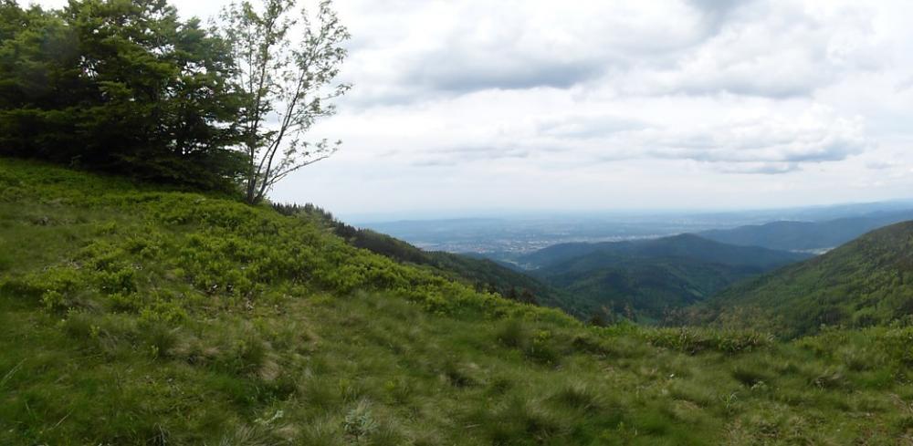 Black Forest Hill Rhine Valley Schauinsland Summer Black Forest Hill Rhine Valley Schauinsland Summer