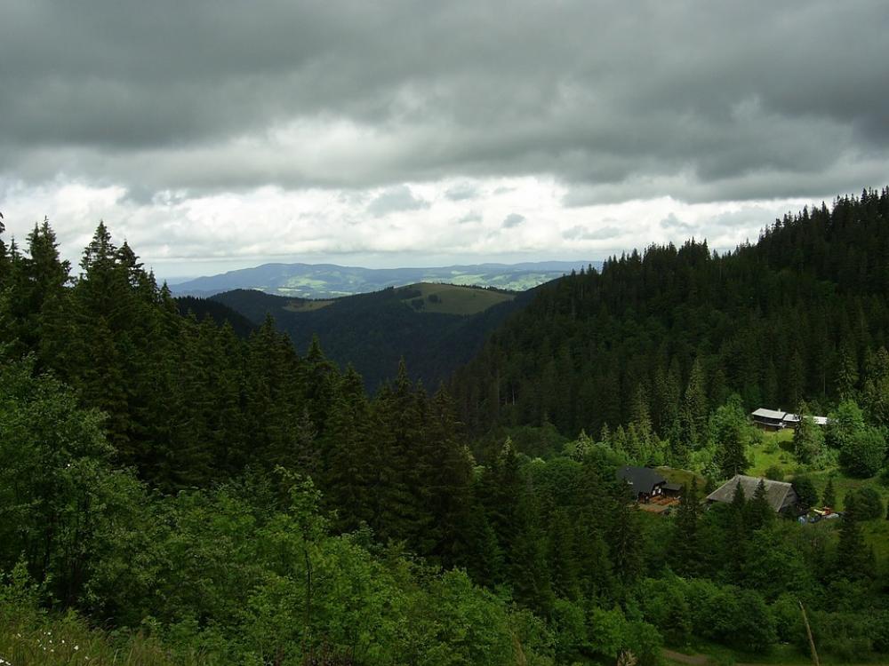 Black Forest Forest Germany Clouds Weird Trees Black Forest Forest Germany Clouds Weird Trees