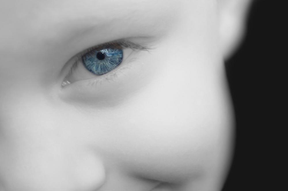 Blue Eye Look Kid People Macro Cornea Boy Blue Eye Look Kid People Macro Cornea Boy