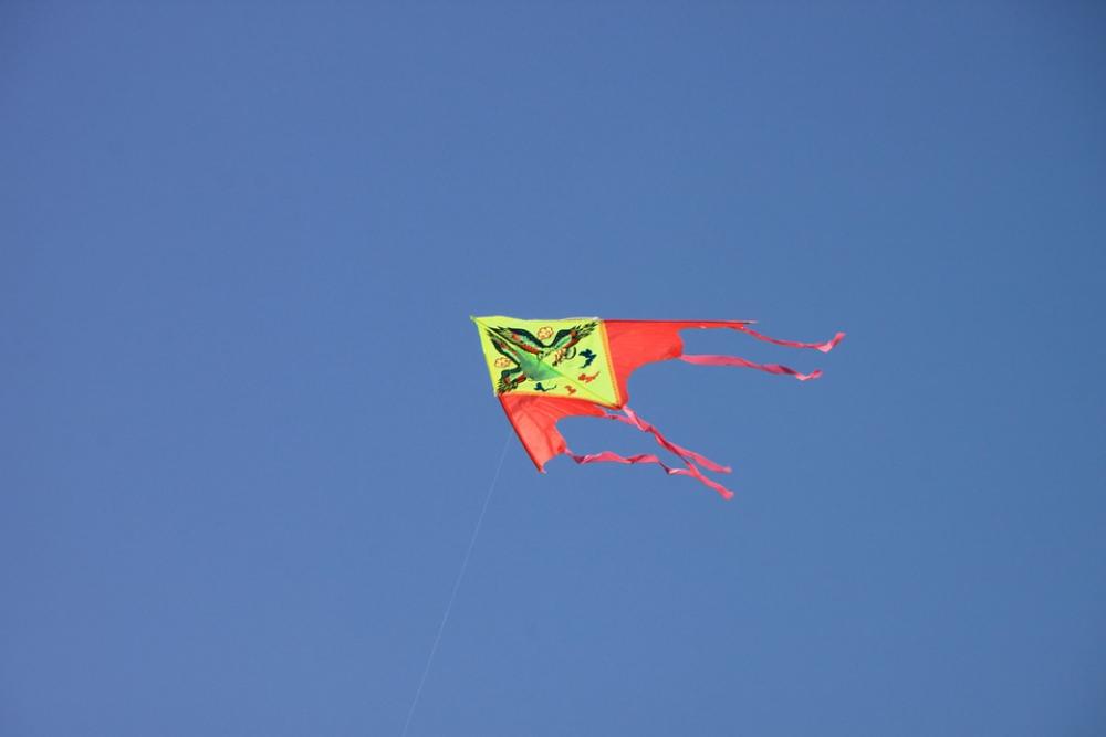 Blue Flying Kite Sea Sky Nature Summer Blue Flying Kite Sea Sky Nature Summer