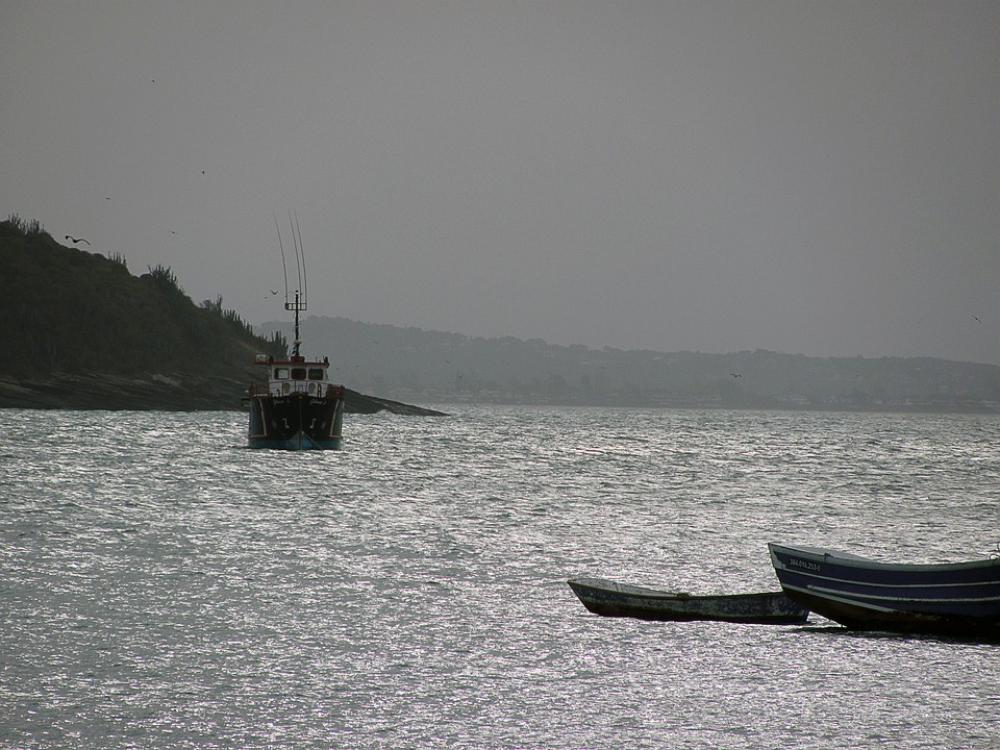Boat Cove Eventide Mar Horizon Beira Mar Litoral Boat Cove Eventide Mar Horizon Beira Mar Litoral