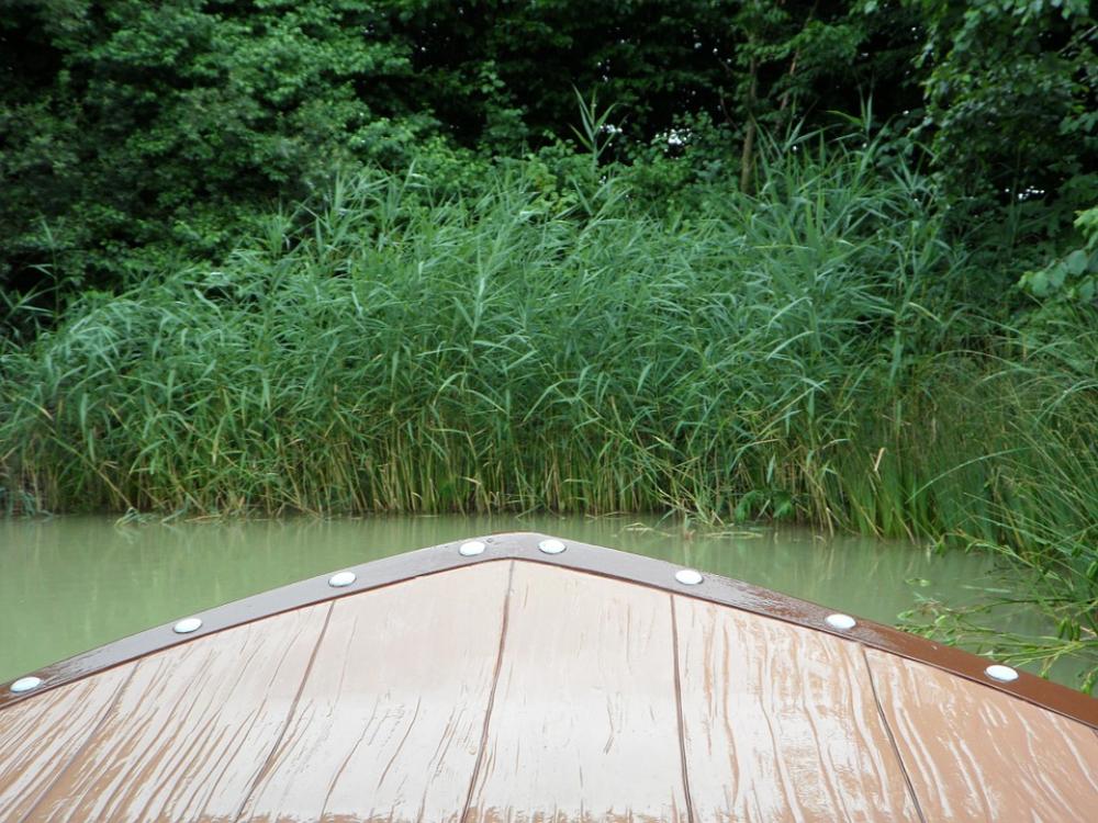 Boat Trip Bug Shipping Boat Water Boat Trip Bug Shipping Boat Water